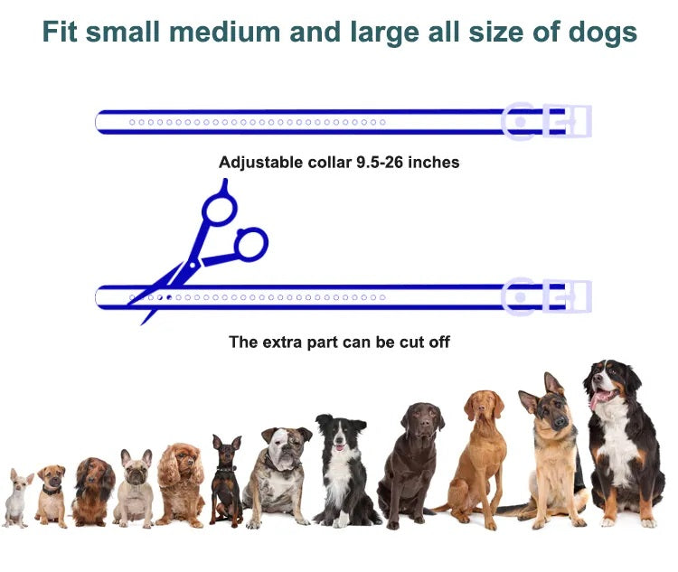 Pawguard Smart Trainer Pro Collar – 2‑in‑1 Remote Trainer & Auto Bark Control