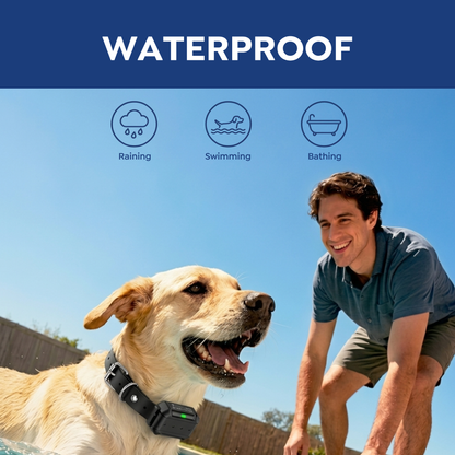 PawGuard F900 Plus Wireless Dog Fence 3-in-1 System with Training Features