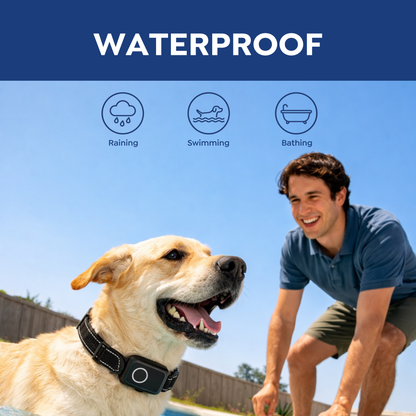 PawGuard T800 Training Collar