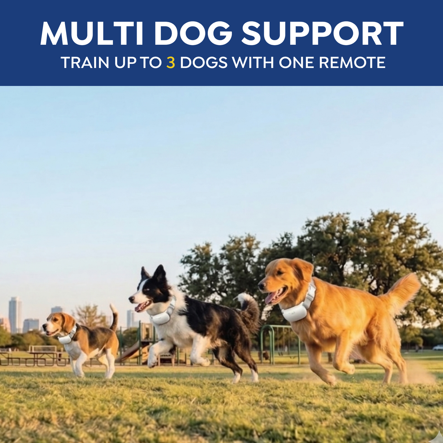 PawGuard Dog Training Collar T200 Rechargeable, Long range
