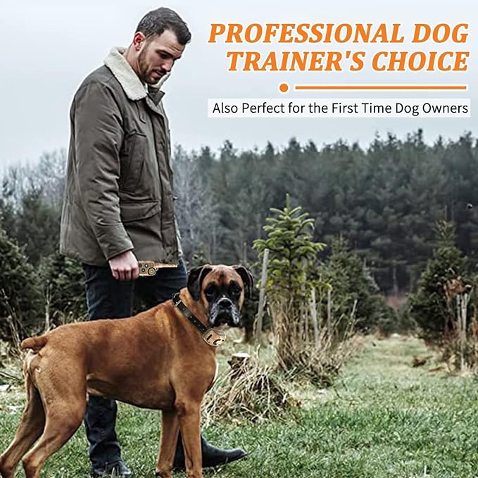 PawGuard T689 dog training collar