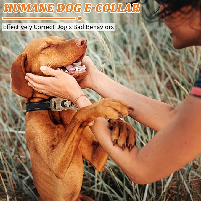 PawGuard T689 dog training collar
