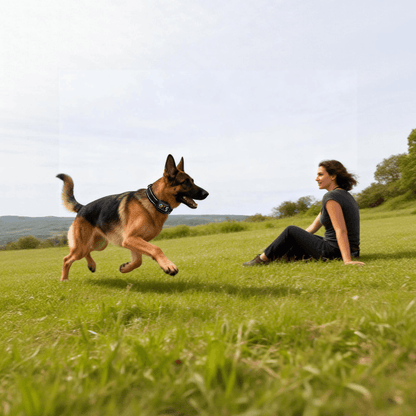 PawGuard Bark Control Collar PG630 Adjustable & Safe Anti-Bark Solution