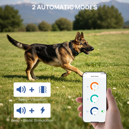 PawGuard GPS dog fence with App PG860
