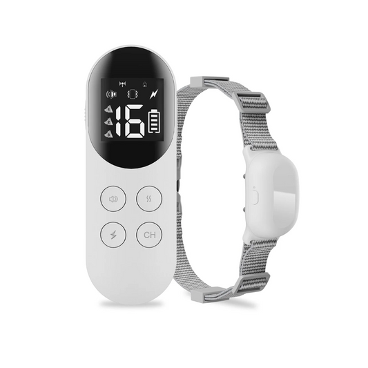 Pawguard Dog Training Collar T200 Rechargeable, Long range