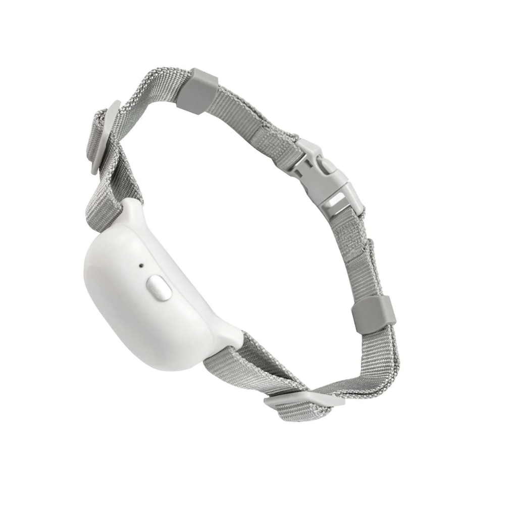 Pawguard Dog Training Collar T200 Rechargeable, Long range