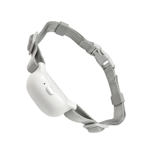 Pawguard Dog Training Collar T200 Rechargeable, Long range