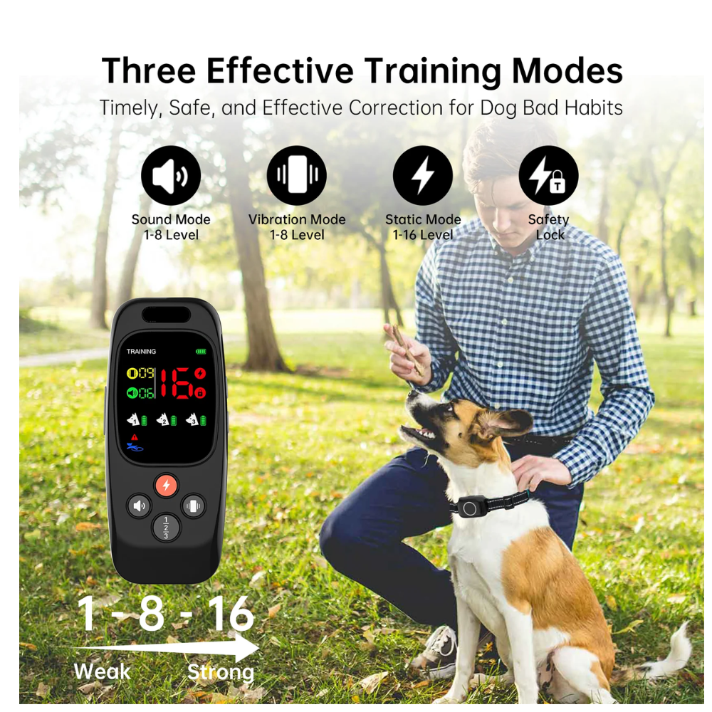 Pawguard T800 Training Collar